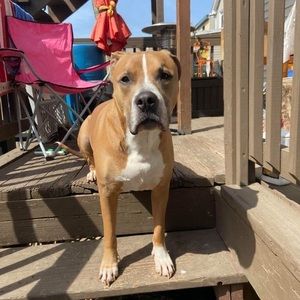 Meet your Posher, Richard